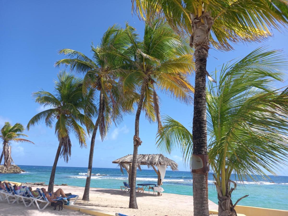 Aparthotel Tropical Cocooning Saint-Francois  Exterior foto